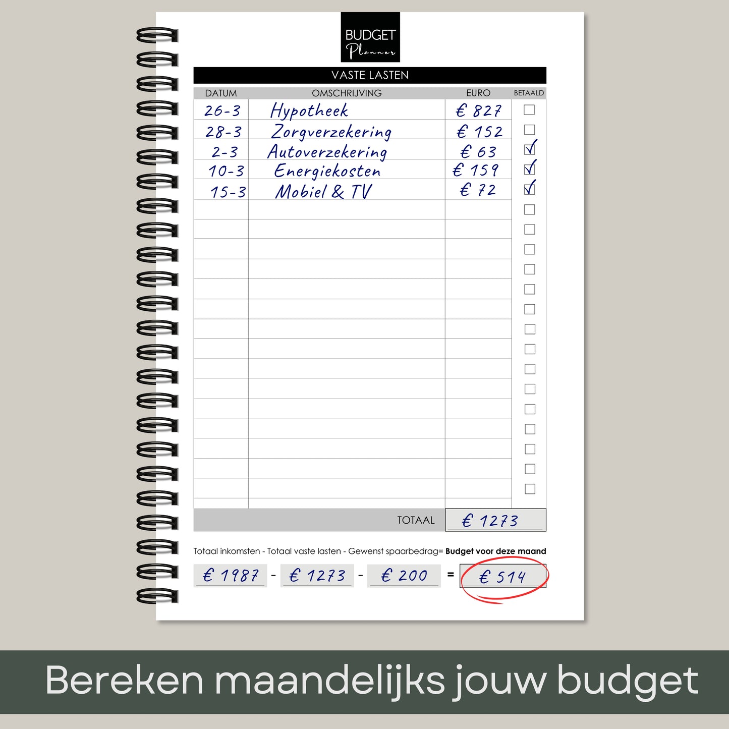 Budget planner - Classic Green